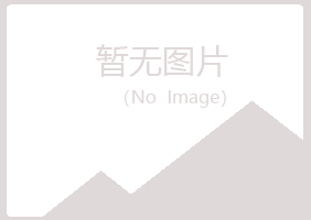 上海宝山山柳造纸有限公司